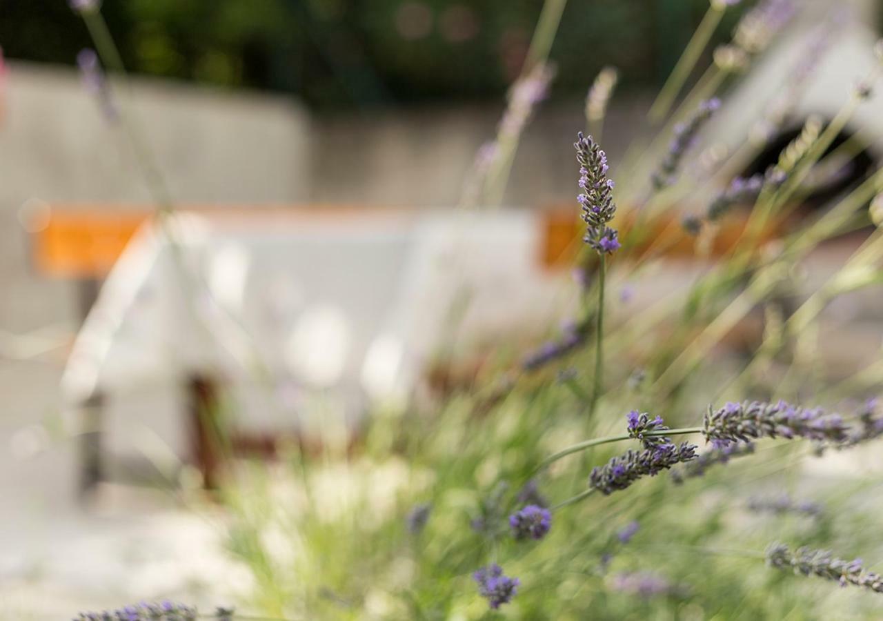 Apartments Vretenar Novigrad Istria Kültér fotó